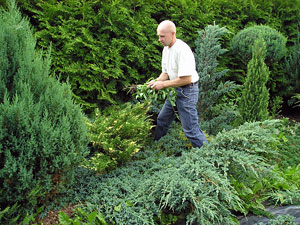 ИП Драгун Юрий Викторович